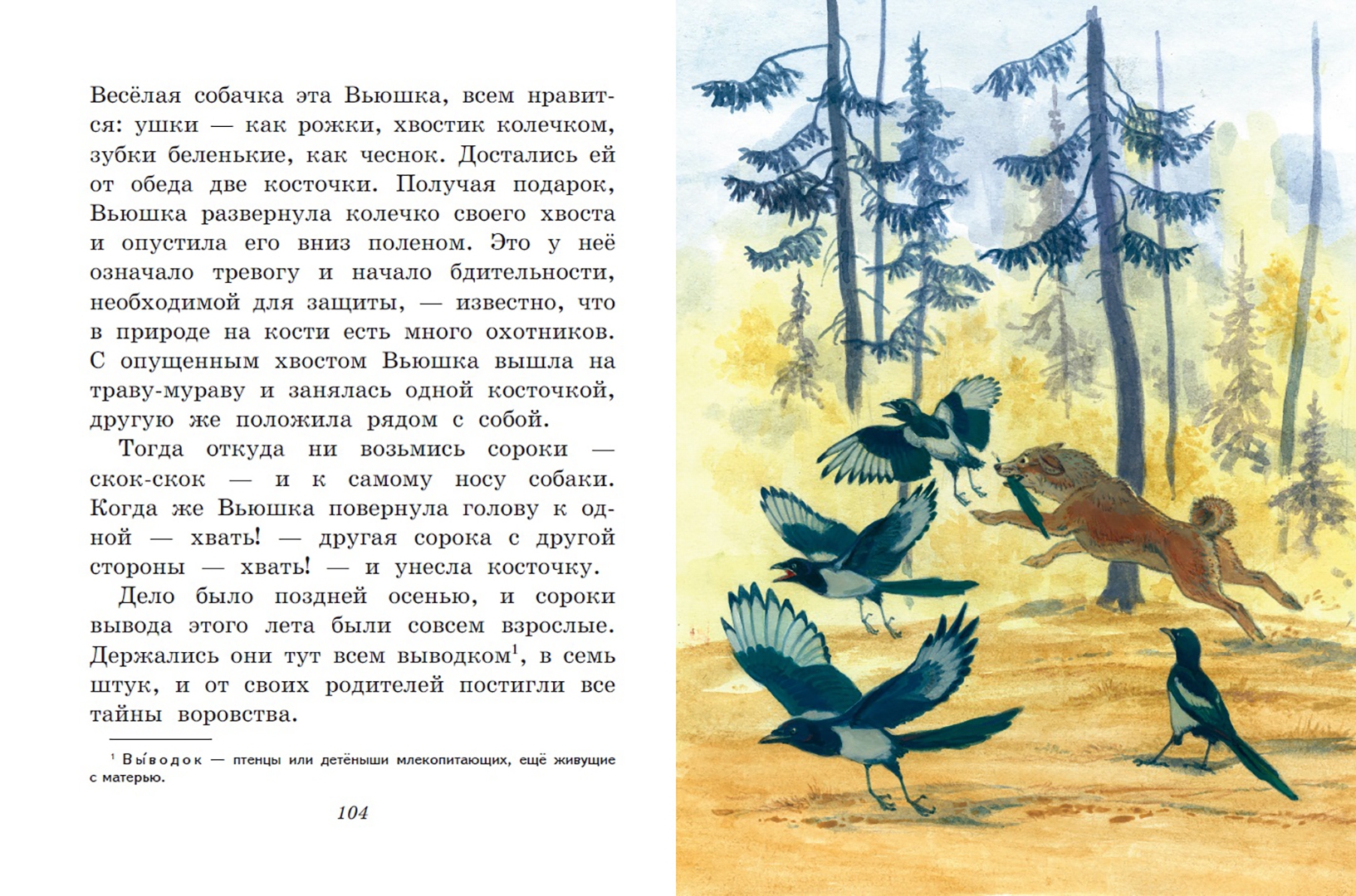 М. Пришвина «Лисичкин хлеб». Рисунок к рассказу Лисичкин хлеб. Пришвин хромка картинки к рассказу. Отзыв Лисичкин хлеб.