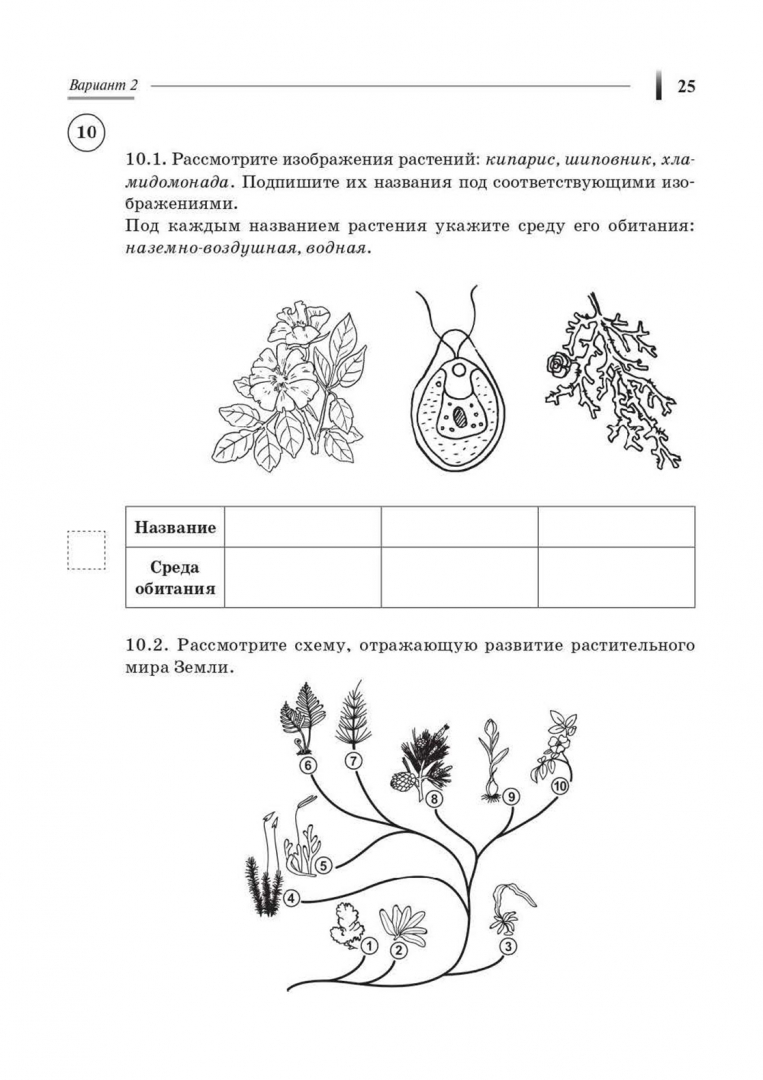 Впр по биологии 8 класс вариант 2. Впр по биологии 8 класс вариант 2