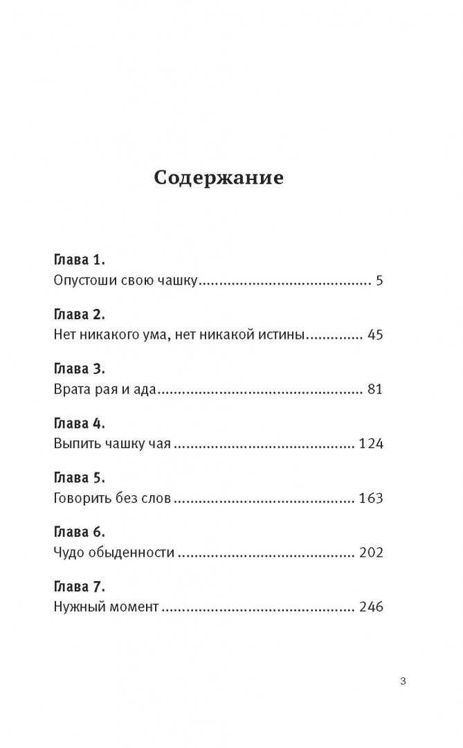 Записки о скизи читать на дзен