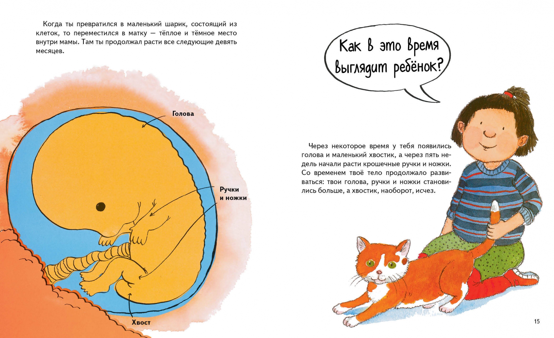 Откуда взялся мальчик. Откуда берутся дети объяснение для детей. От кудтва берется дети. Откуда взялся мальчик. От кудтва берется дети.