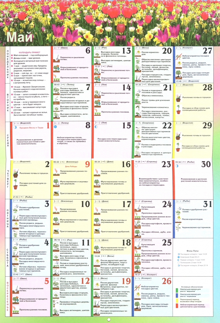 Лунный календарь на август цветовода комнатные. Лунный календарь 2024. Лунный календарь на 2024 год