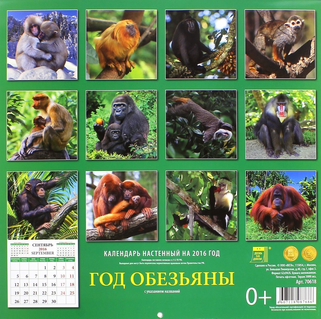 По какому календарю год обезьяны - Viewing image -The Picture Hosting