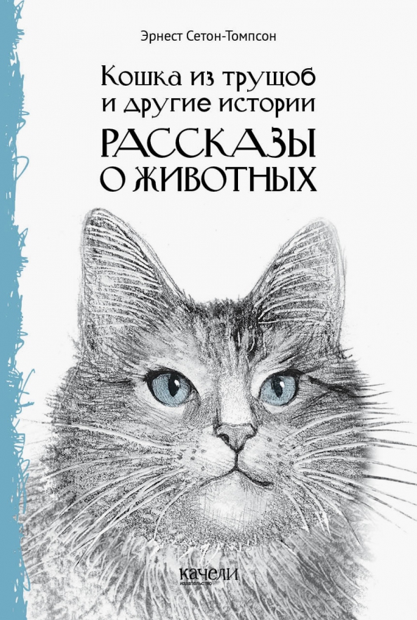 Королевская аналостанка читать полностью